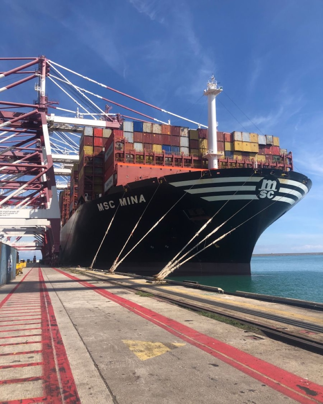 Exter Cargo